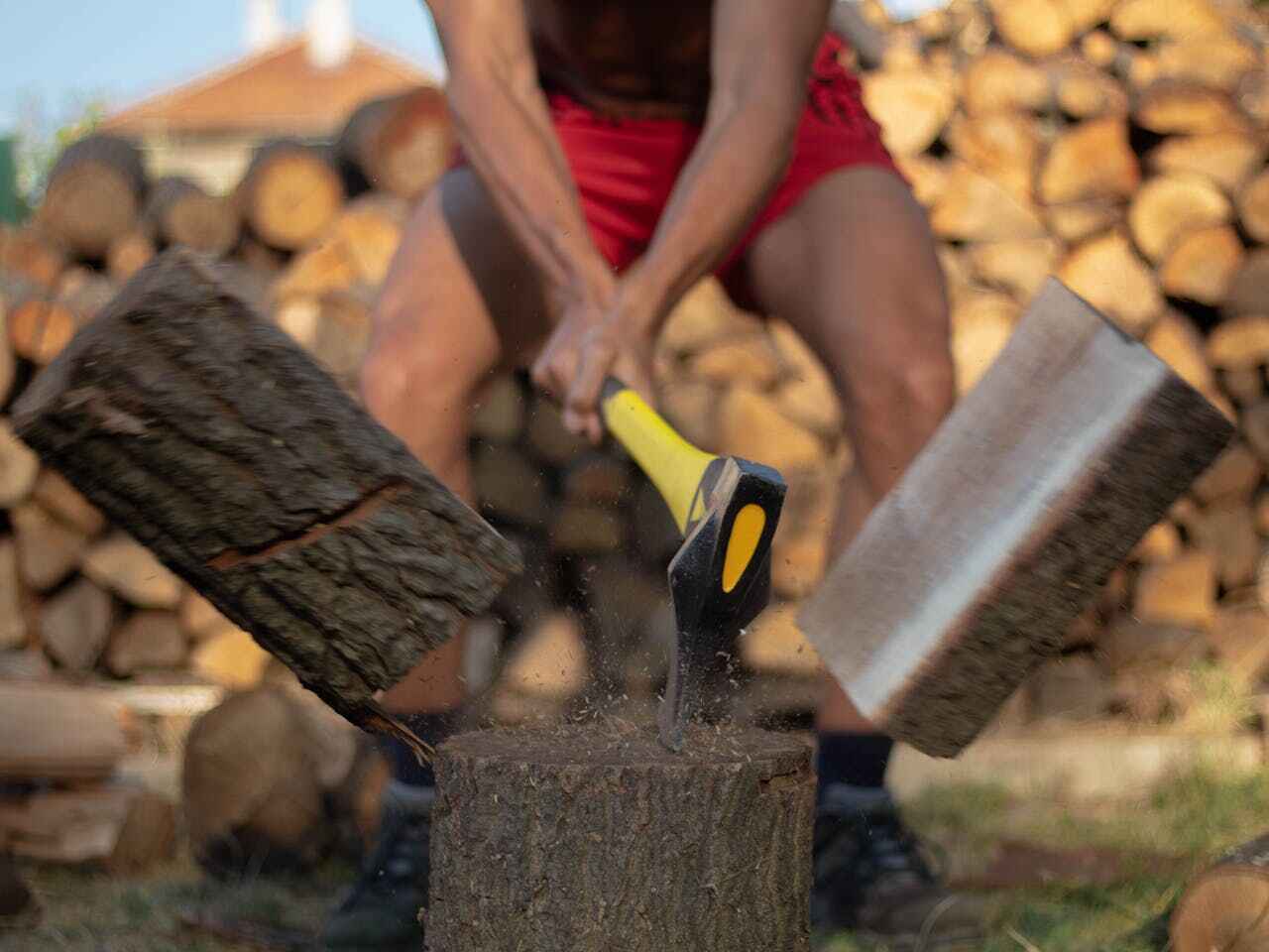 Large Tree Removal in East Brewton, AL